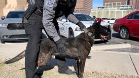 Bartlesville Police given new ‘bite suit’ to train K9 unit