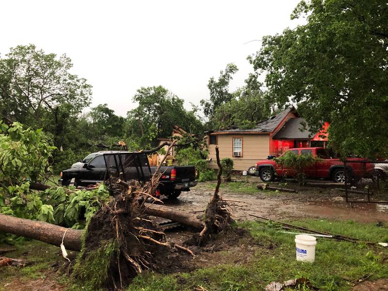 Downed Tree Traps Resident Inside House – 102 3 Krmg