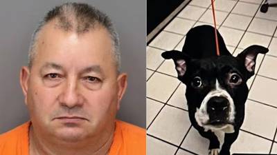 Man arrested after newly adopted dog found decapitated