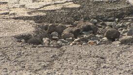 Premature potholes posing problems for Tulsa motorists