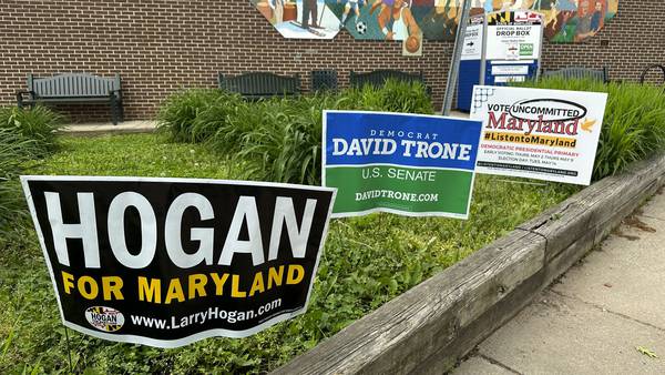 Primaries in Maryland and West Virginia will shape the battle this fall for a Senate majority