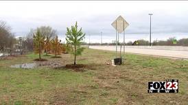 Local environmental group delivers saplings to Green Country on the eve of Earth Day