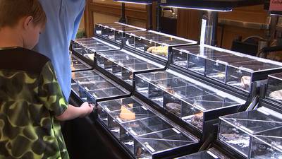 Photos: Cold Blooded Reptile Expo June 2022