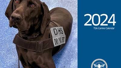 Good dogs: TSA releases 2024 canine calendar