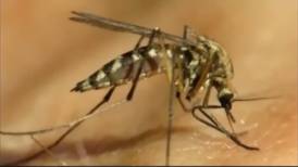 West Nile virus found in mosquitoes in Tulsa County