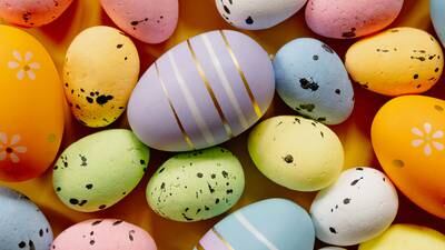 Argument over where to hide eggs leads to stabbing at elementary school Easter egg hunt