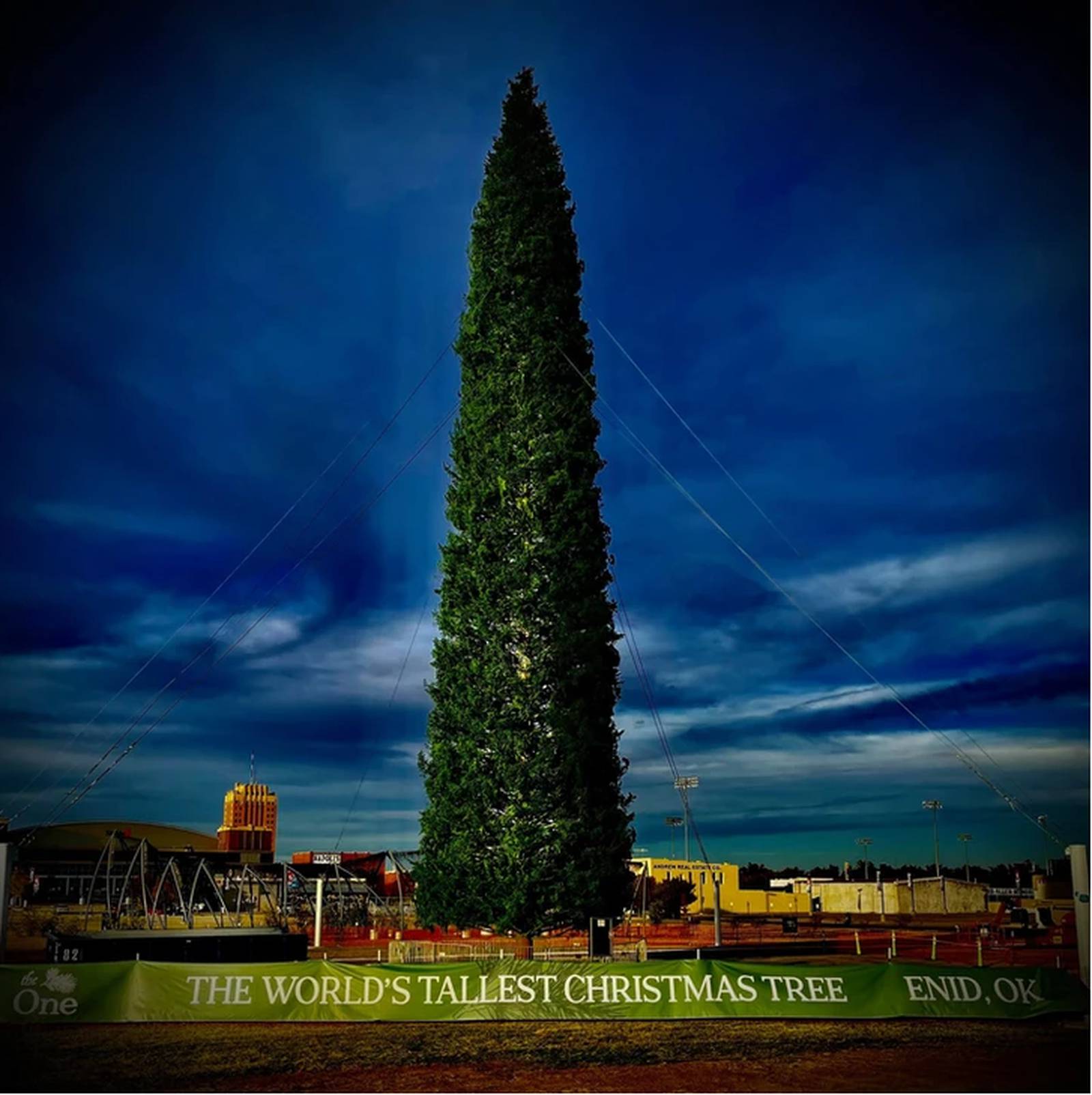 Is Enid’s Christmas tree still the tallest in the world? A tree in