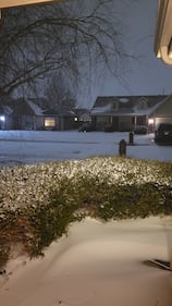 Check out all the snow photos you sent us via our app during Tuesday's winter storm